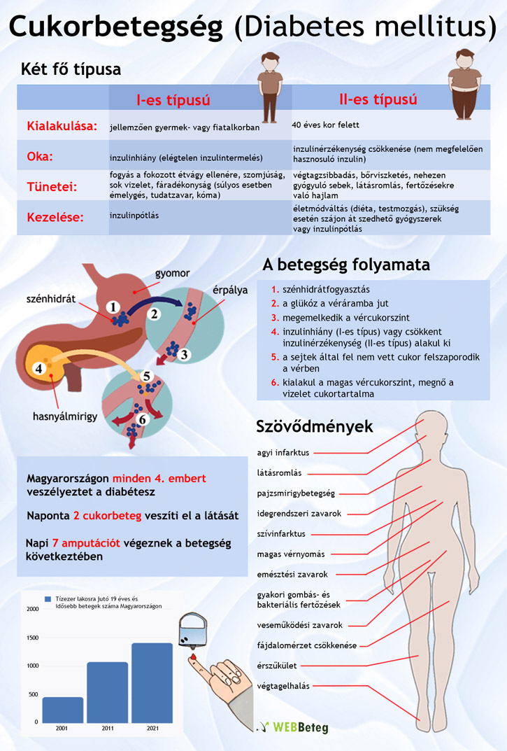 Cukorbetegség típusok infografika